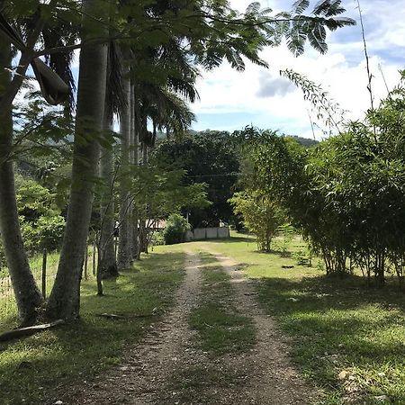 Cabanas Maya Rue Palenque Eksteriør bilde