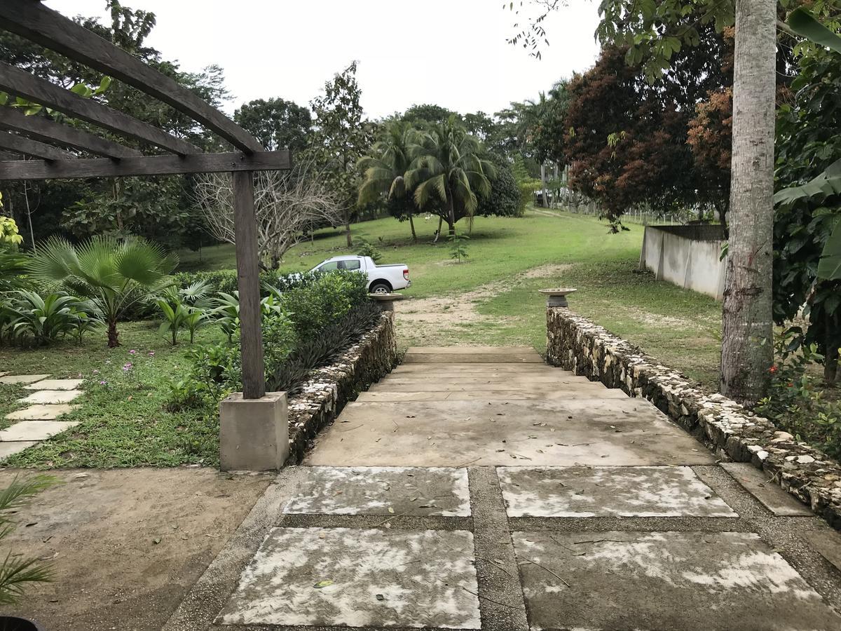 Cabanas Maya Rue Palenque Eksteriør bilde